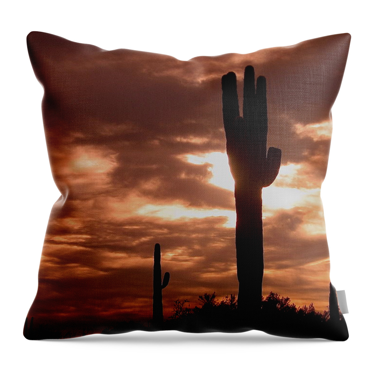 John Wayne Lawless Frontier Saguaro Forest Carefree Arizona Sunset Throw Pillow featuring the photograph Lawless Frontier homage 1935 saguaro forest by David Lee Guss