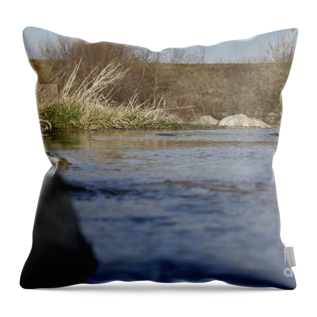 Framed Throw Pillow featuring the photograph Lay With Me by Donato Iannuzzi