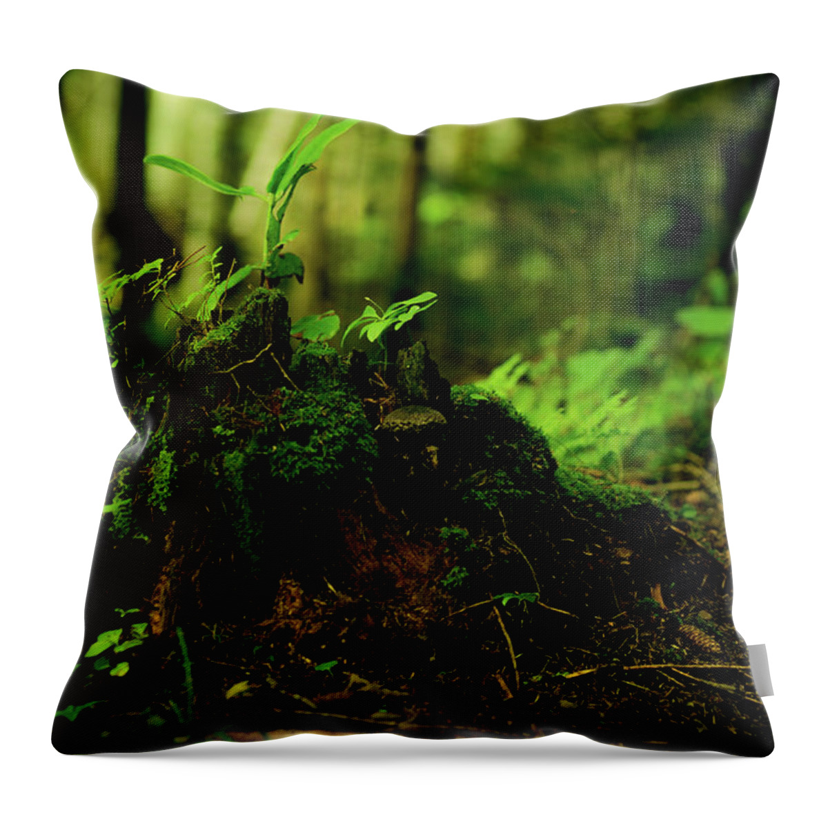 Hokkaido Throw Pillow featuring the photograph Leaf Bud by Plasticboystudio