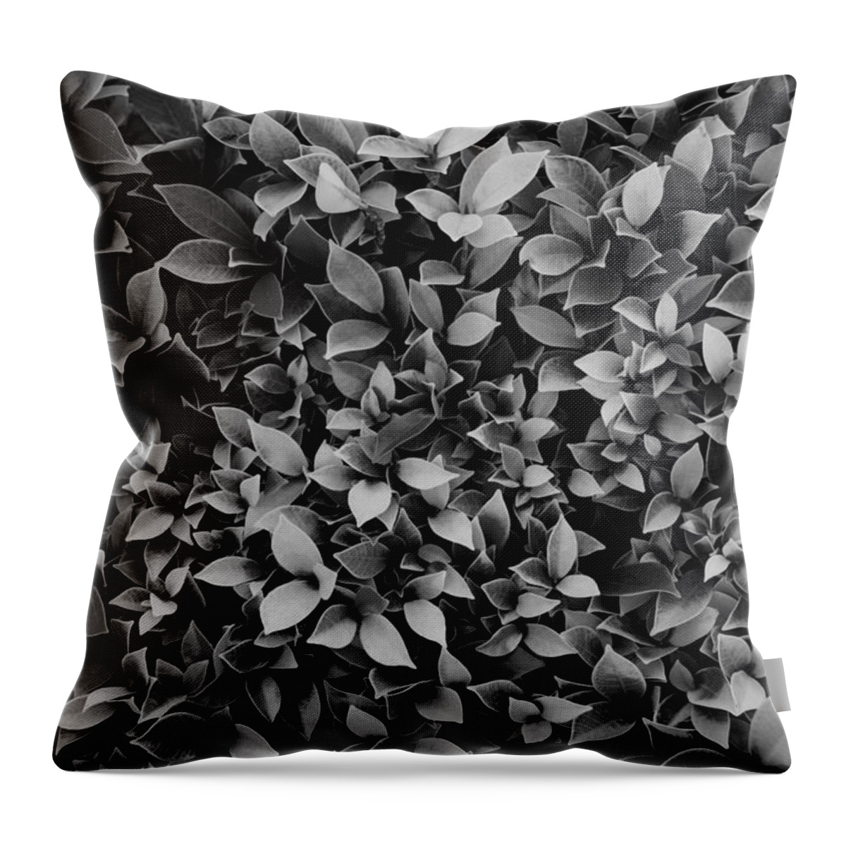Abstract Throw Pillow featuring the photograph Leaf Close Up texture by Jarernjit Tanomchit