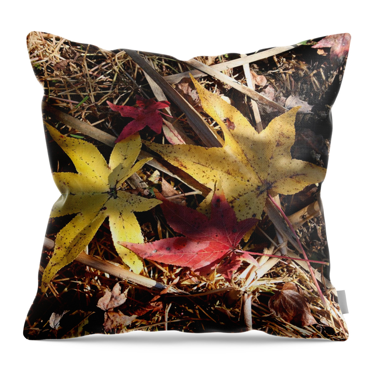Fall Throw Pillow featuring the photograph Leaf Collage by Karen Harrison Brown