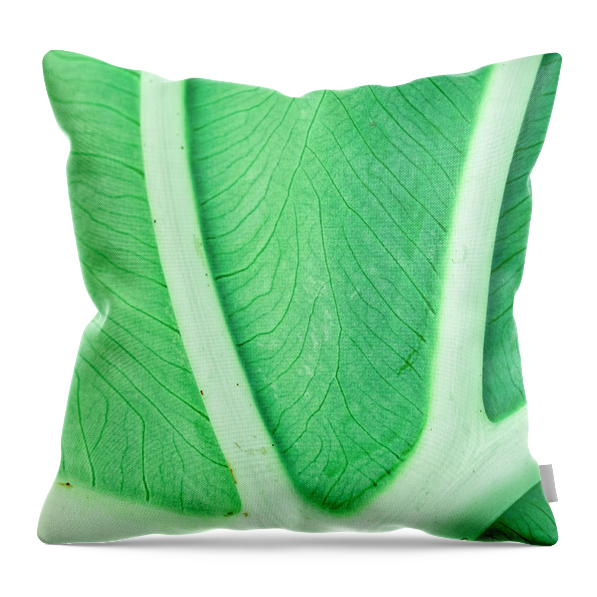 Leaf Throw Pillow featuring the photograph Leaf Macro by Alexey Stiop