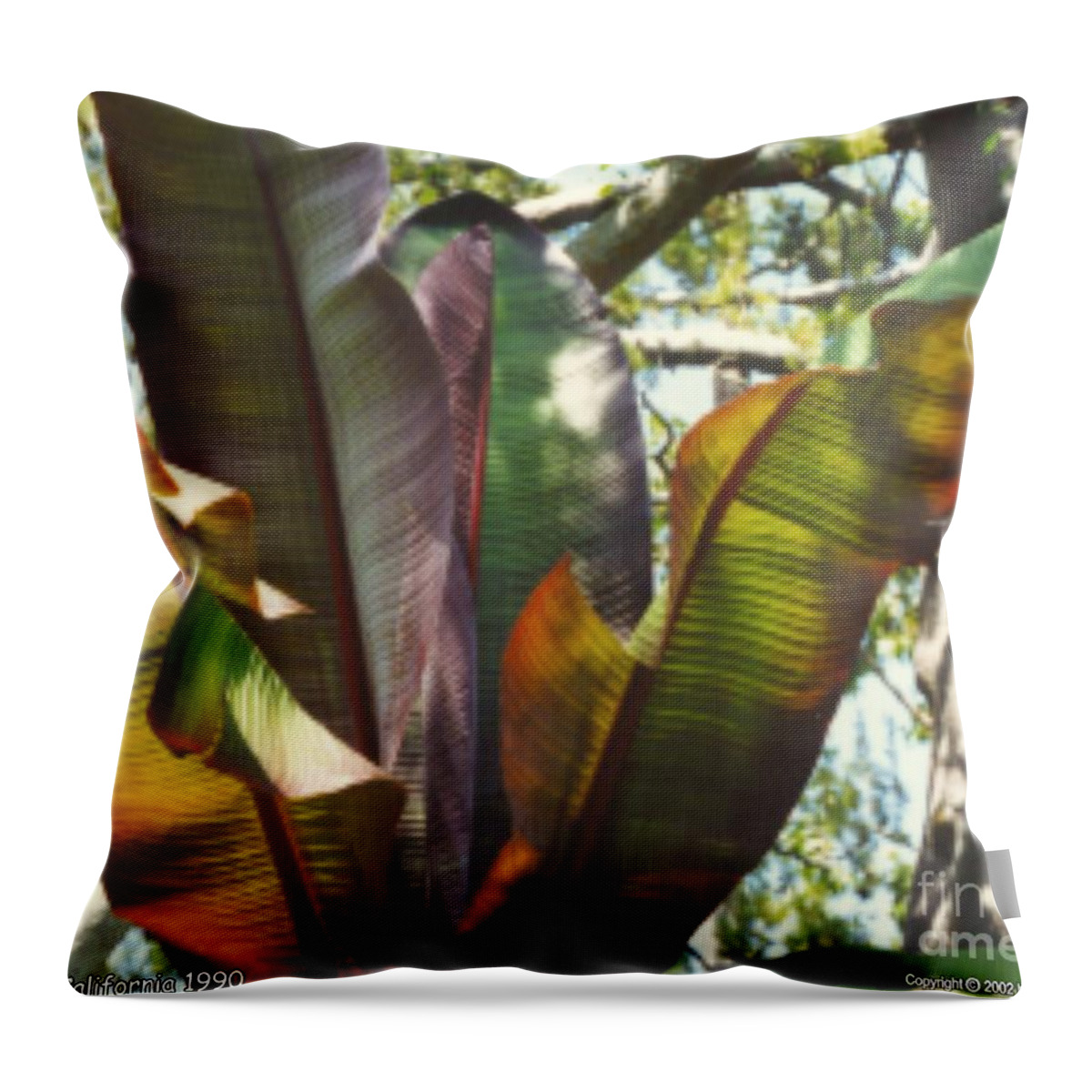 Leaf Throw Pillow featuring the photograph Leaf Reflection by Mars Besso