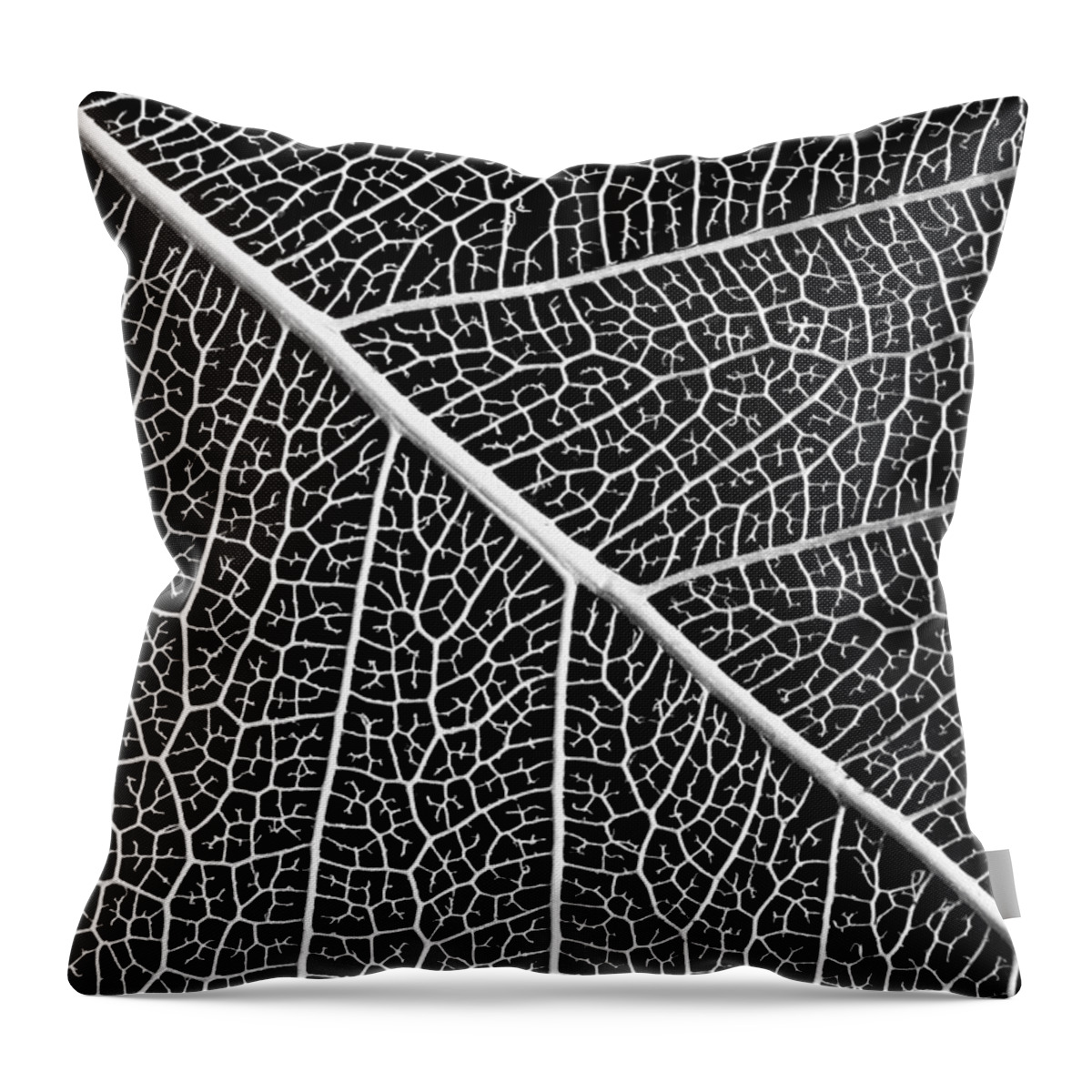 Leaf Throw Pillow featuring the photograph Leaf Structure by Robert Woodward