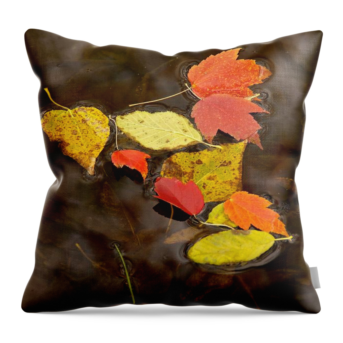 Photography Throw Pillow featuring the photograph Leaf Study 3 by Sean Griffin