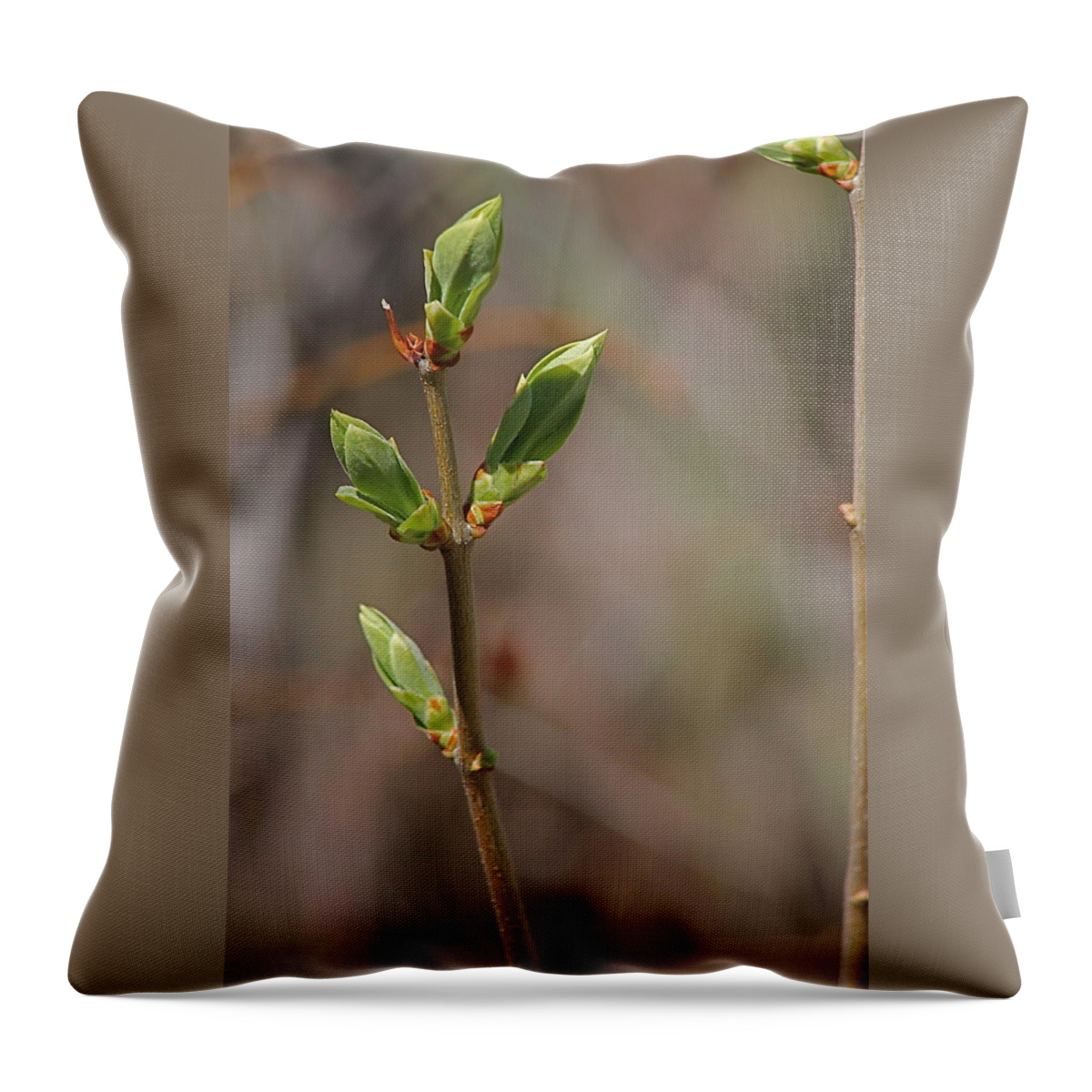 Bushes Throw Pillow featuring the photograph Leafing Out by Wayne Williams