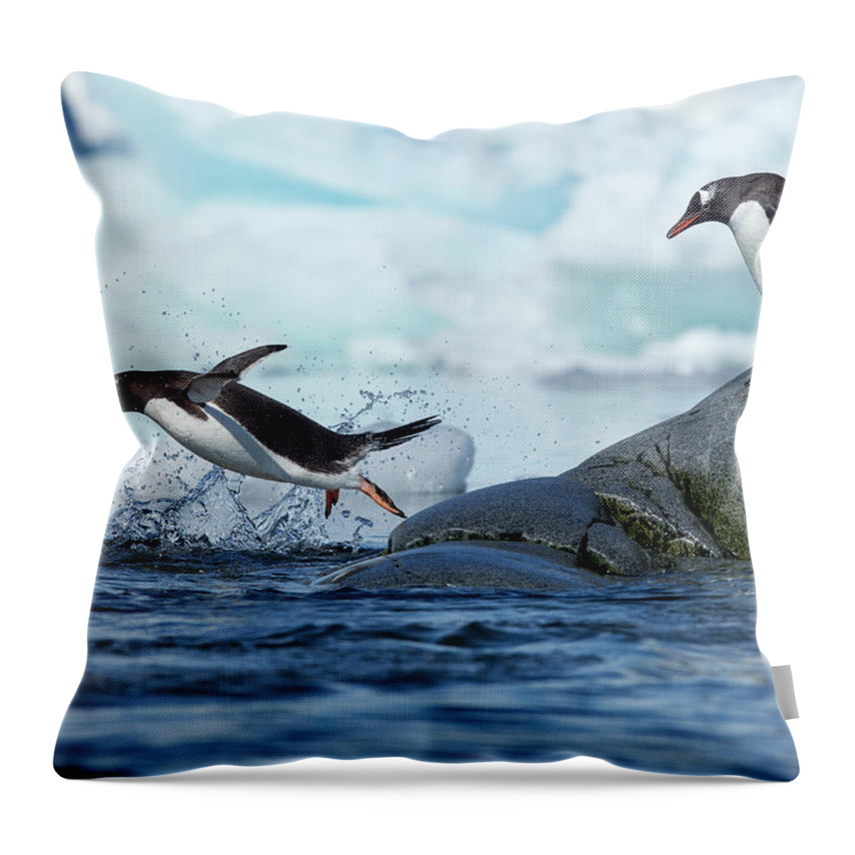 Water's Edge Throw Pillow featuring the photograph Leaping Gentoo Penguins, Antarctica by Paul Souders