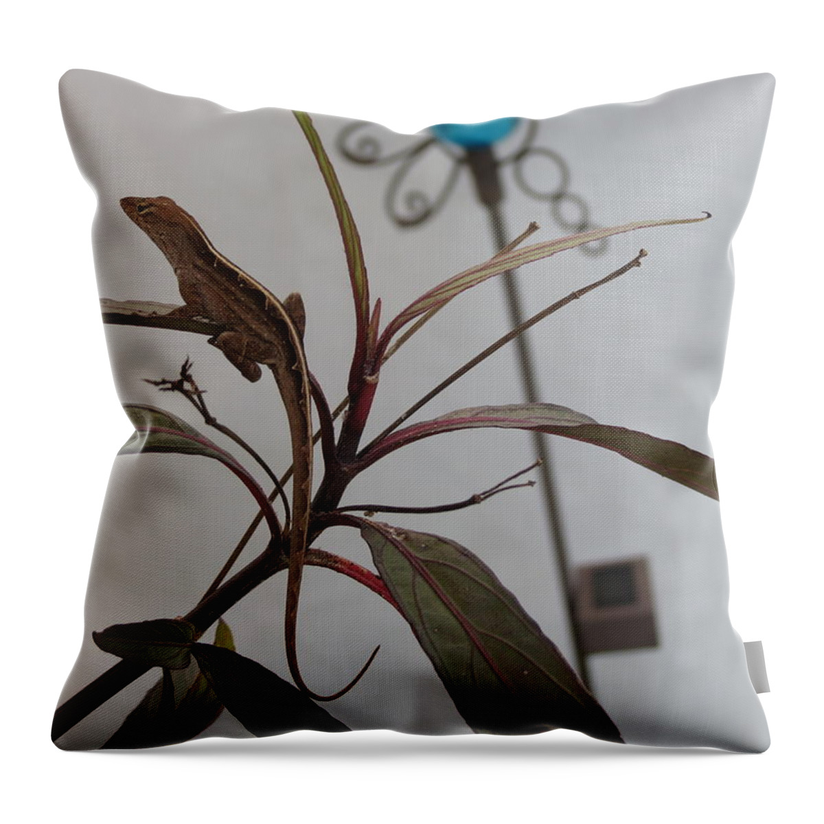 Lizard Throw Pillow featuring the photograph Leaping Lizard by Fortunate Findings Shirley Dickerson