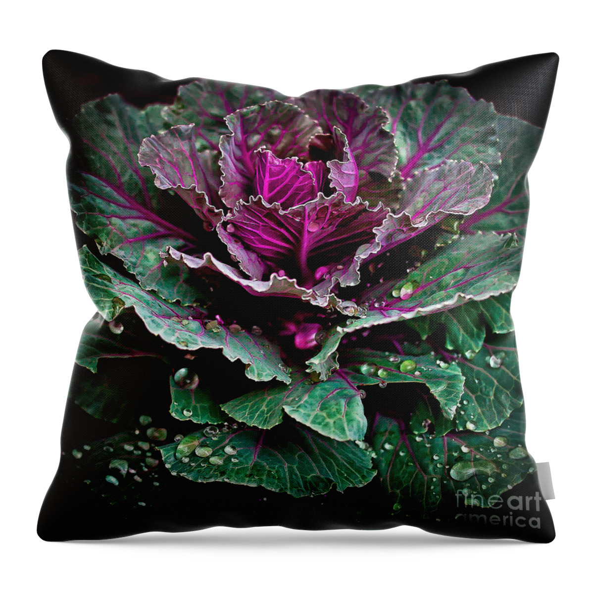 Rain Throw Pillow featuring the photograph Decorative Cabbage After Rain Photograph by Walt Foegelle