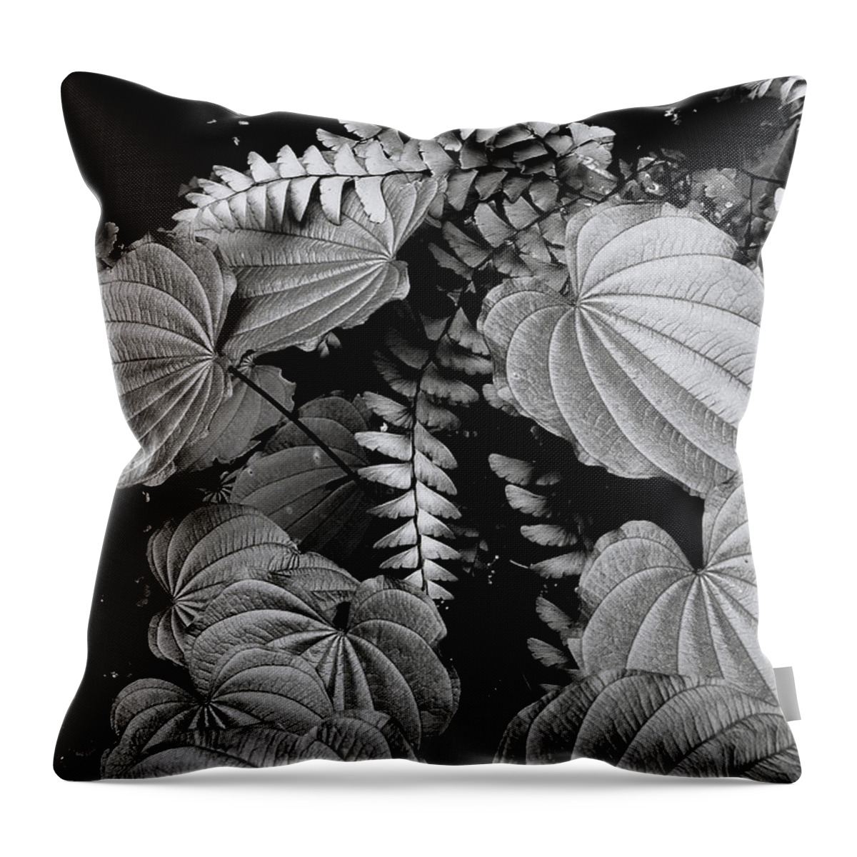 Leaves And Fern Throw Pillow featuring the photograph Leaves and Fern by Michael Eingle