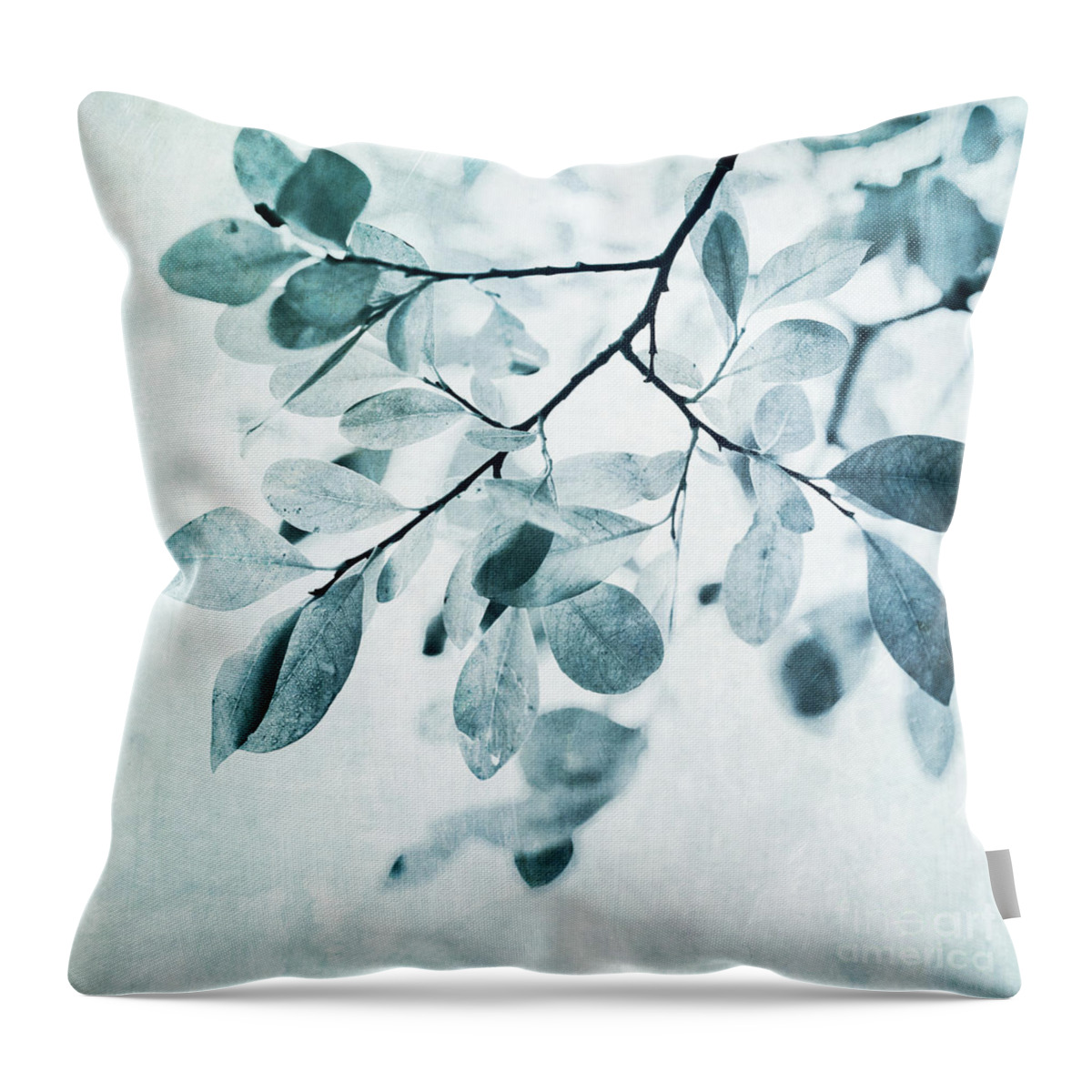 Foliage Throw Pillow featuring the photograph Leaves In Dusty Blue by Priska Wettstein