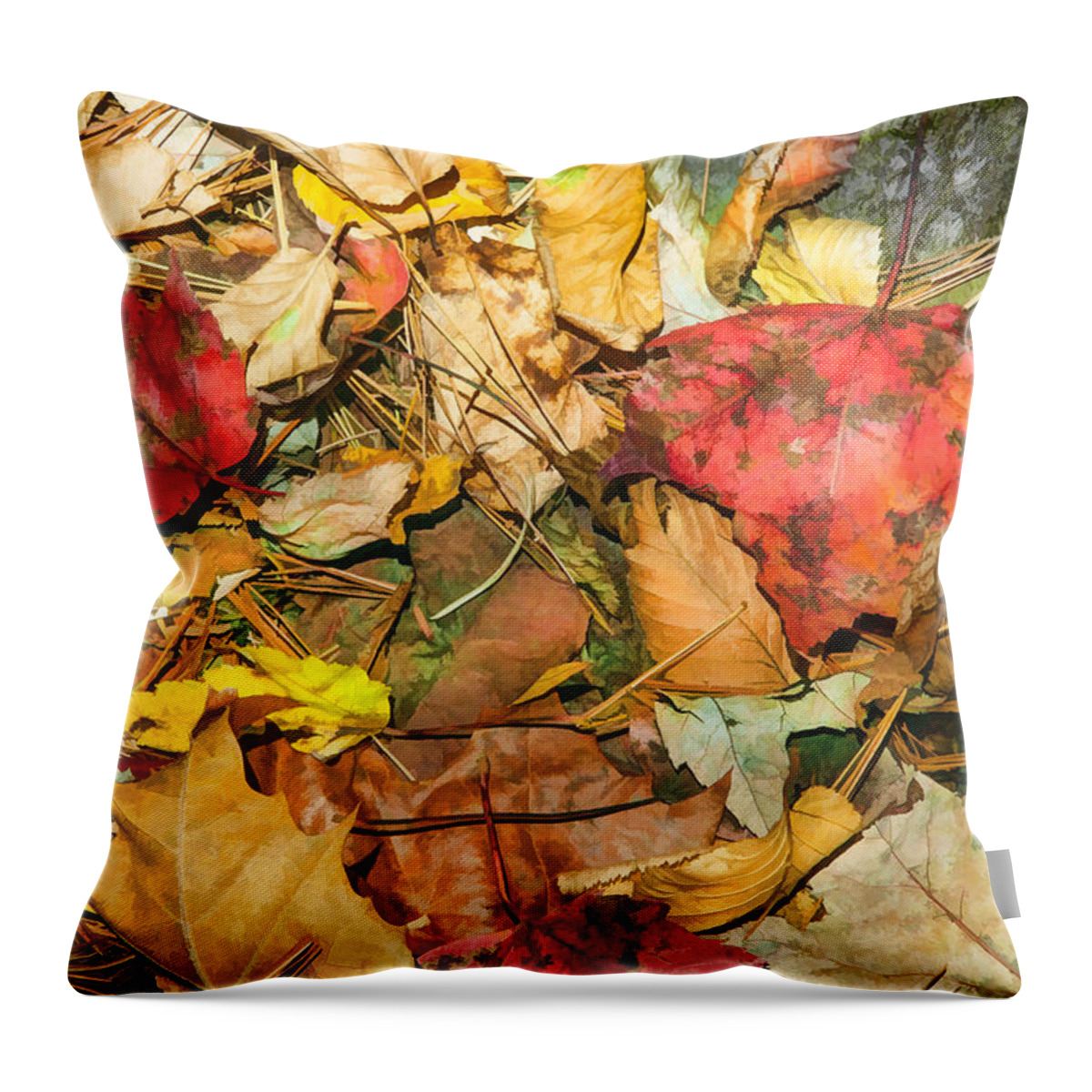 Autumn Throw Pillow featuring the photograph Leaves of the Fall Great Smoky Mountains Painted by Rich Franco
