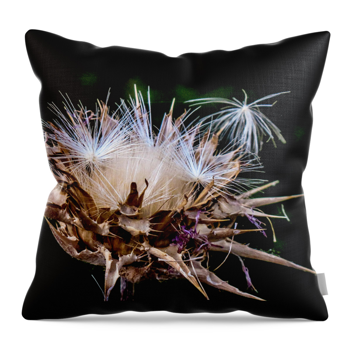 Flowers Throw Pillow featuring the photograph Leaving the Nest by Susan Eileen Evans