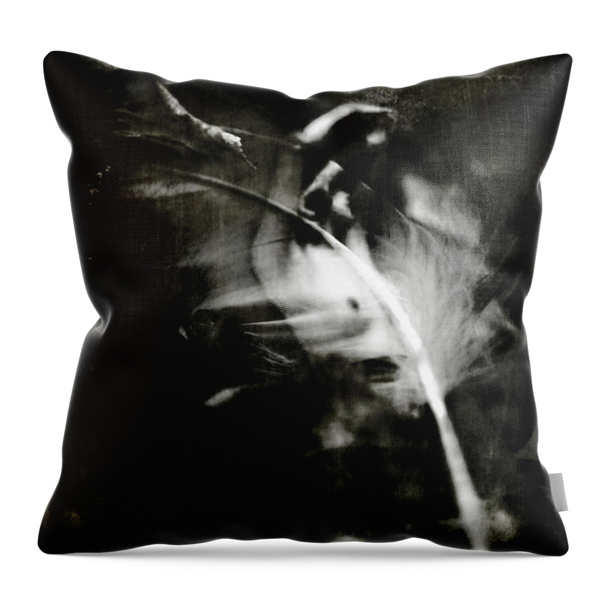 Leda Throw Pillow featuring the photograph Leda and the Swan by Rebecca Sherman