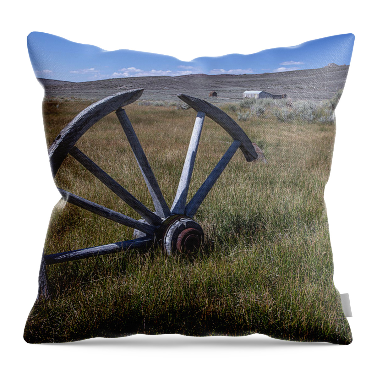 Blue Throw Pillow featuring the photograph Left Behind by Jon Glaser