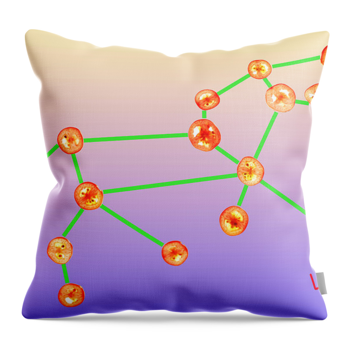 Leo Throw Pillow featuring the photograph Leo constellation composed by tomato slices food art by Paul Ge