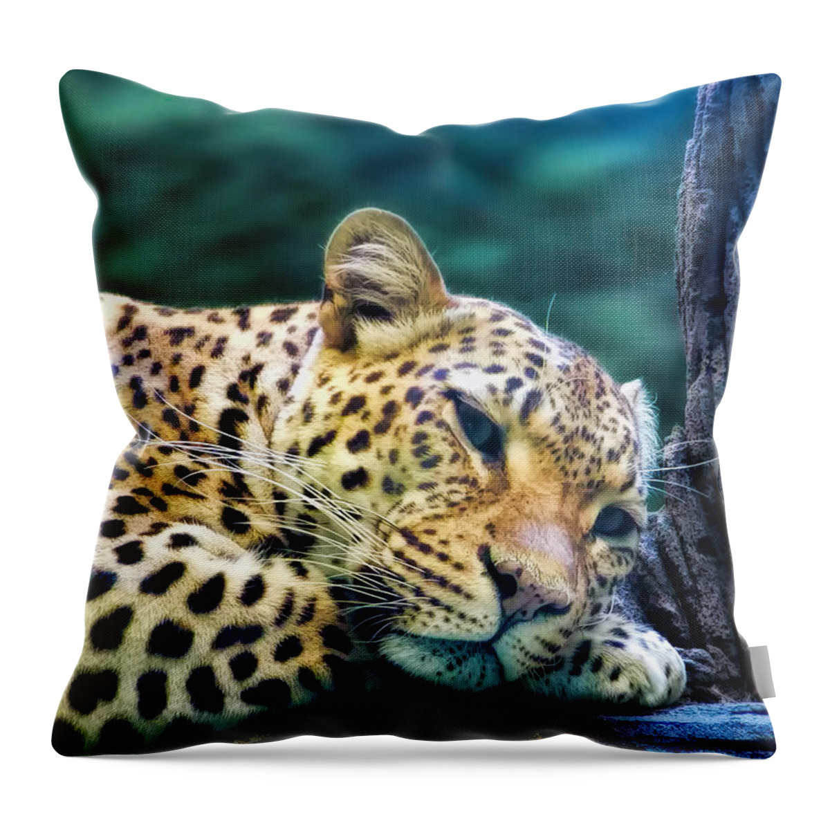 Leopard Throw Pillow featuring the photograph Leopard 1 by Dawn Eshelman