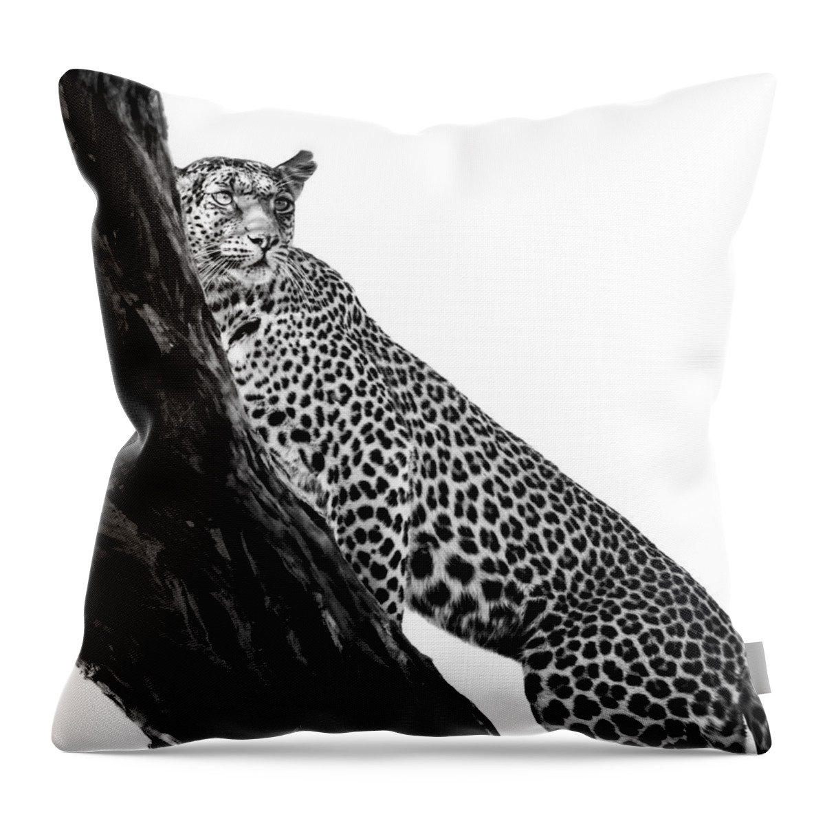 Leopard Throw Pillow featuring the photograph Leopard On Watch by Gigi Ebert