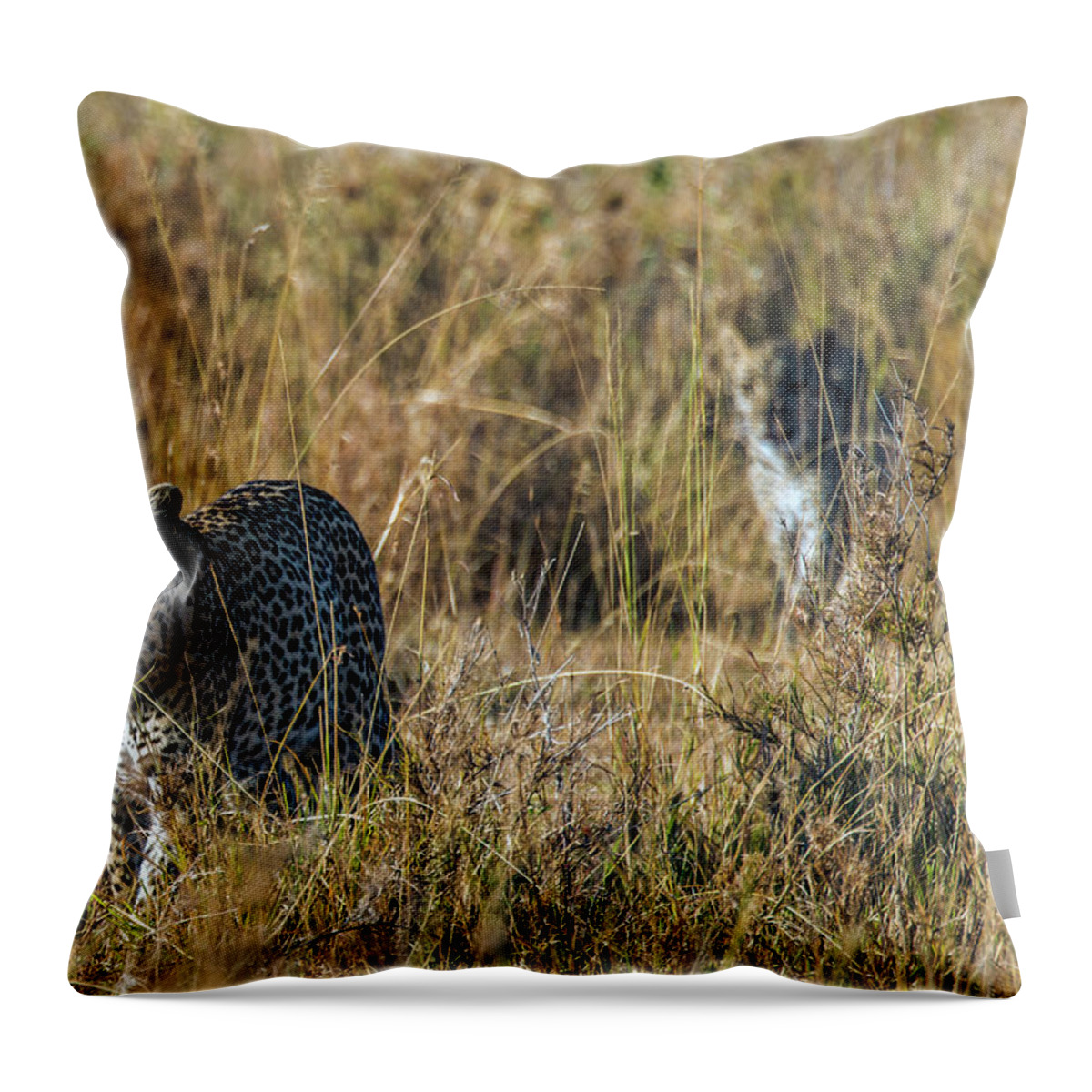 Grass Throw Pillow featuring the photograph Leopards by Jnhphoto