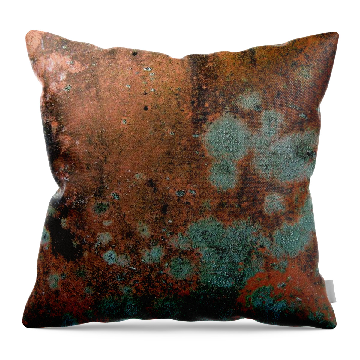 Lichen Throw Pillow featuring the photograph Lichen Abstract 1 by Denise Clark
