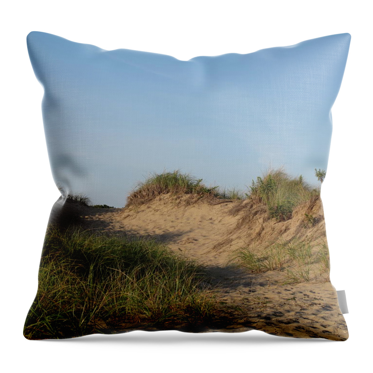 Landscape Throw Pillow featuring the photograph Lieutenant Island Dunes by Barbara McDevitt