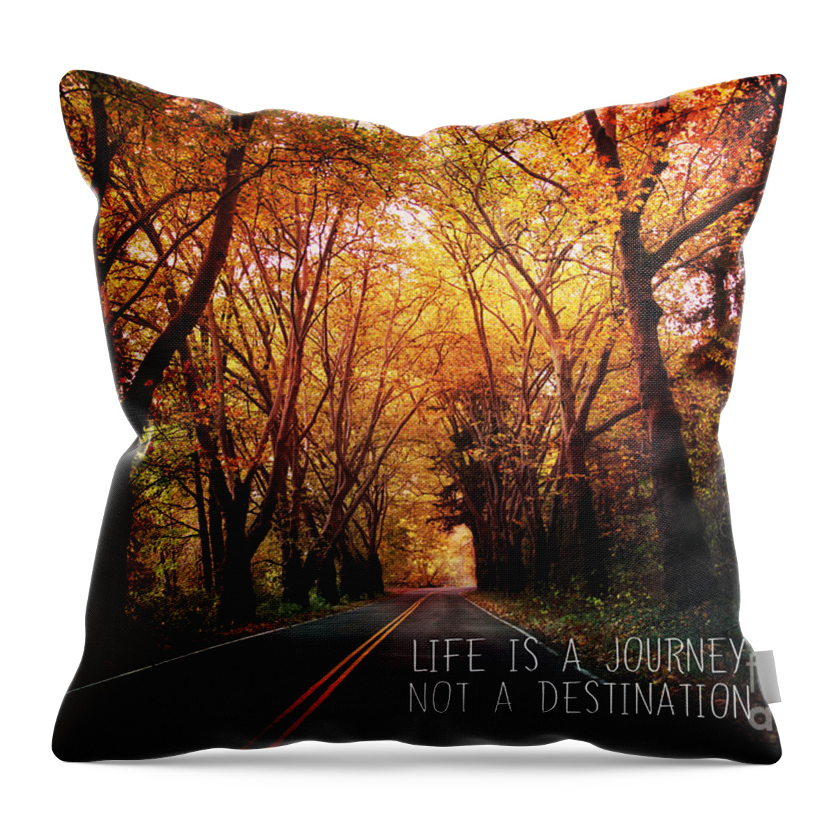Landscape Throw Pillow featuring the photograph Life is a journey not a destination by Sylvia Cook