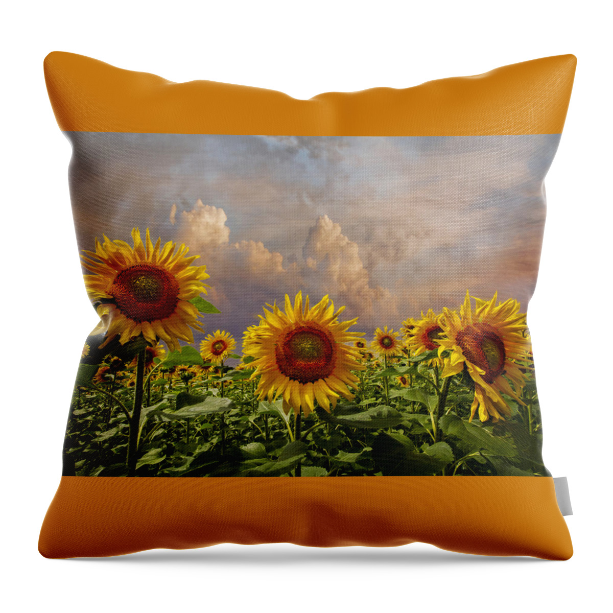 Appalachia Throw Pillow featuring the photograph Life is Good by Debra and Dave Vanderlaan