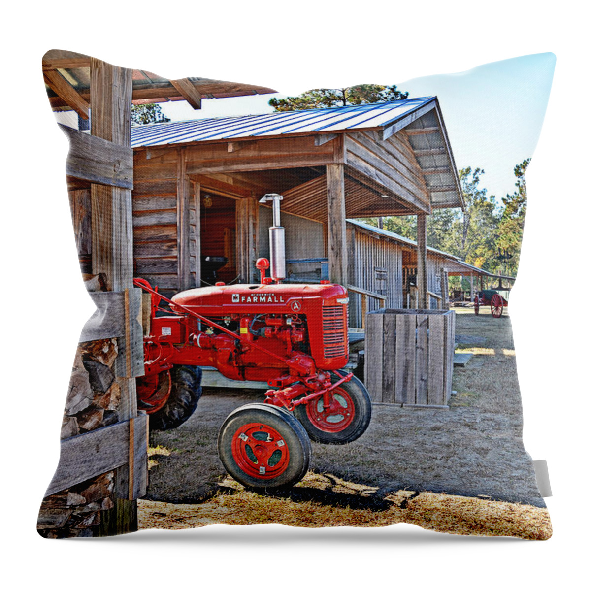 Farm Throw Pillow featuring the photograph Life on the Farm by Linda Brown