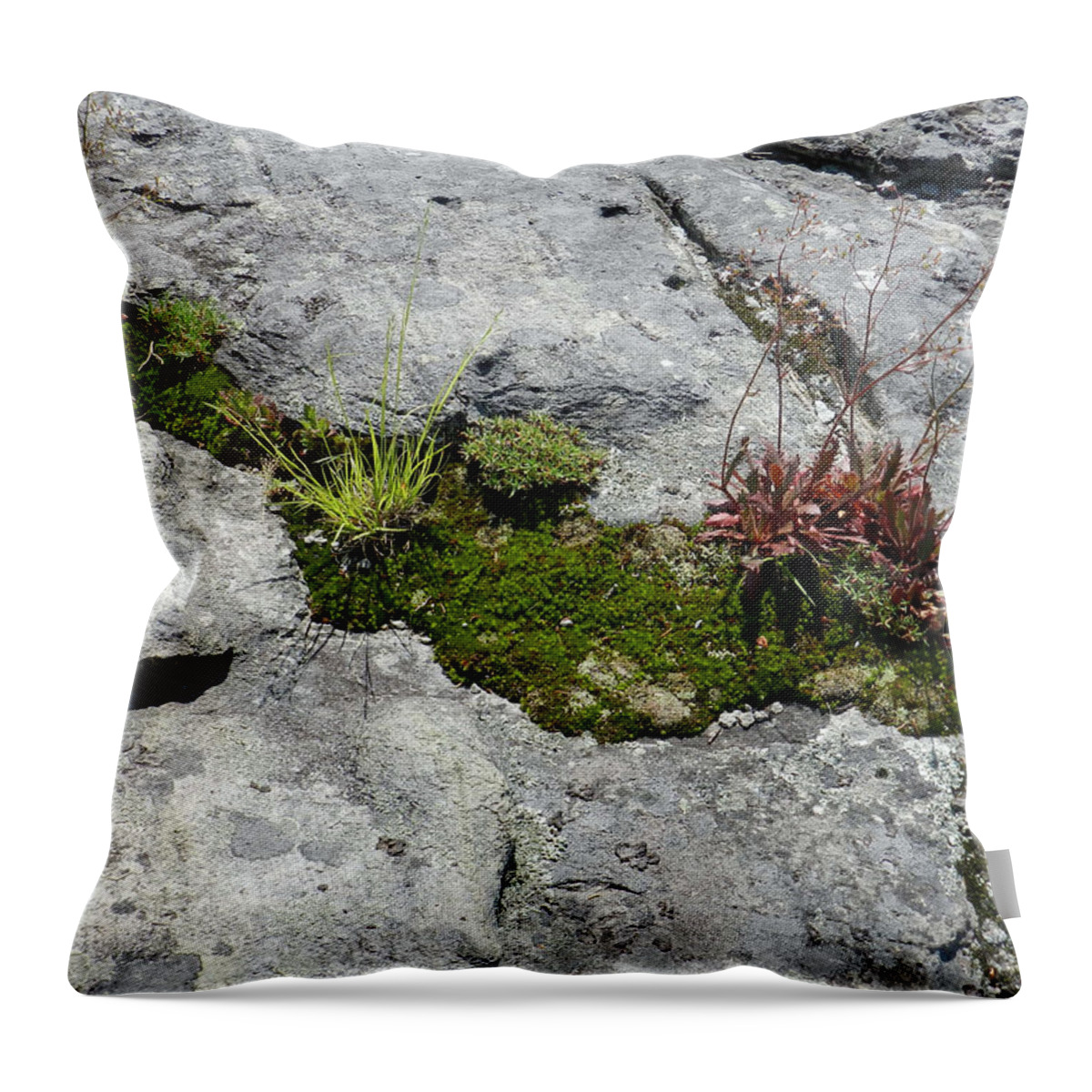 Nature Throw Pillow featuring the photograph Life on the Mountain by Deborah Ferree