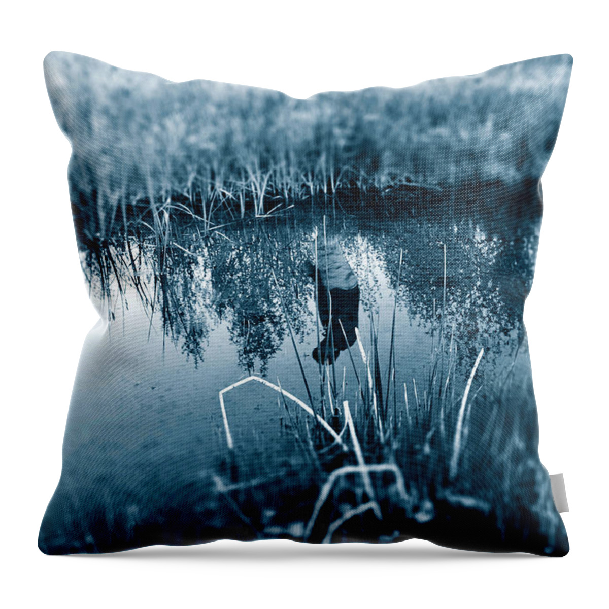 River Throw Pillow featuring the photograph Life's Reflections by Lisa Holland-Gillem