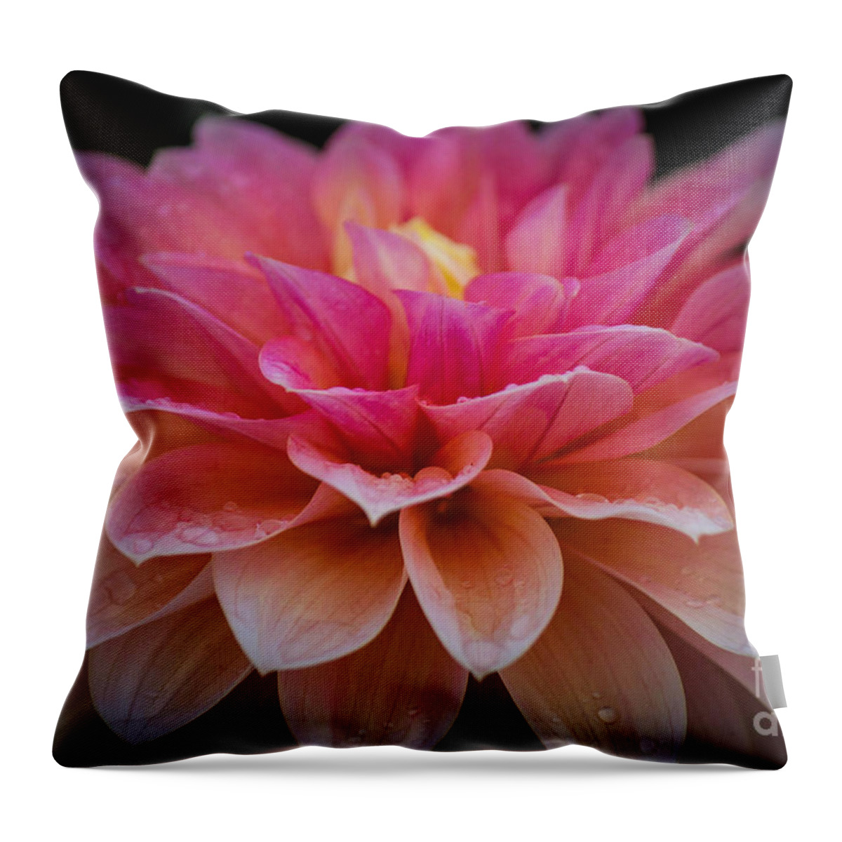  Throw Pillow featuring the photograph Light in the Darkness by Patricia Babbitt
