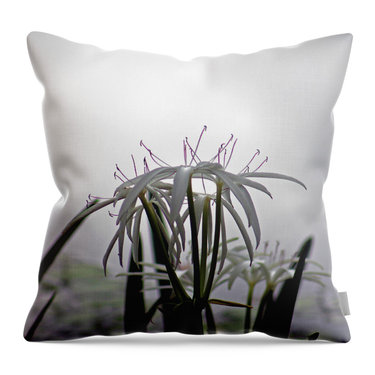 Plant Throw Pillow featuring the photograph Light of darkness by Lily K