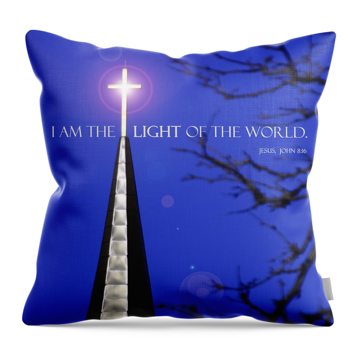 Light Of The World Throw Pillow featuring the photograph Light of the World by David T Wilkinson