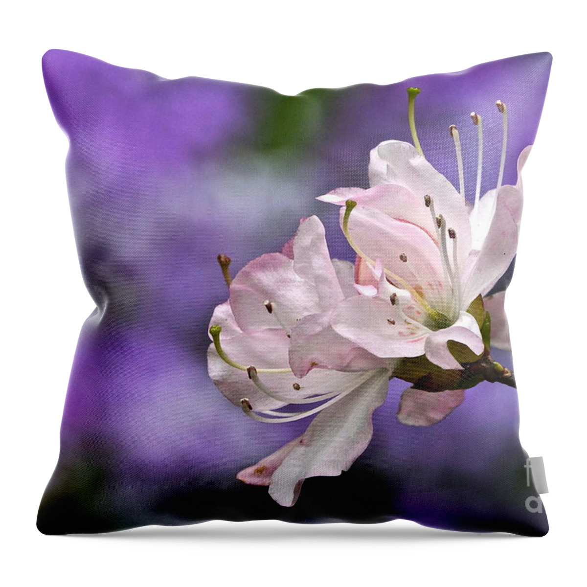 Azalea Blossom Throw Pillow featuring the photograph Light Pink Azalea Blossom With Lilac Bokeh by Byron Varvarigos