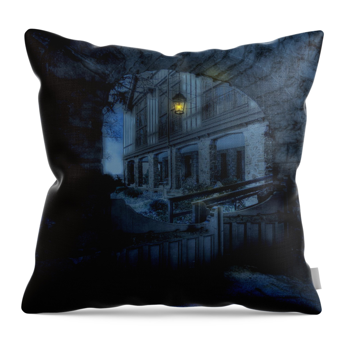 Light Throw Pillow featuring the photograph Light the Way by Shelley Neff