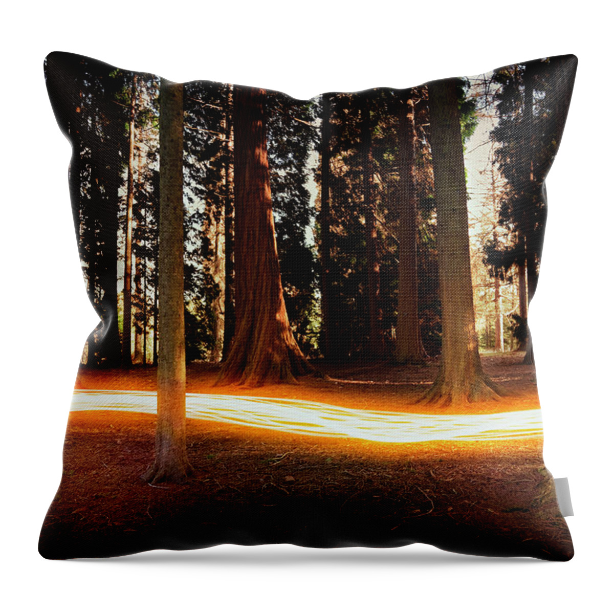 Kent Throw Pillow featuring the photograph Light Trail Passing Around Trees by Robert Decelis Ltd