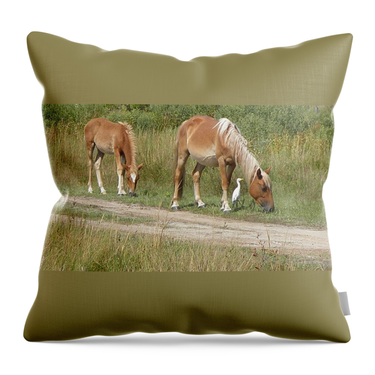 Wild Spanish Mustang Throw Pillow featuring the photograph Like Mother Like Daughter by Kim Galluzzo