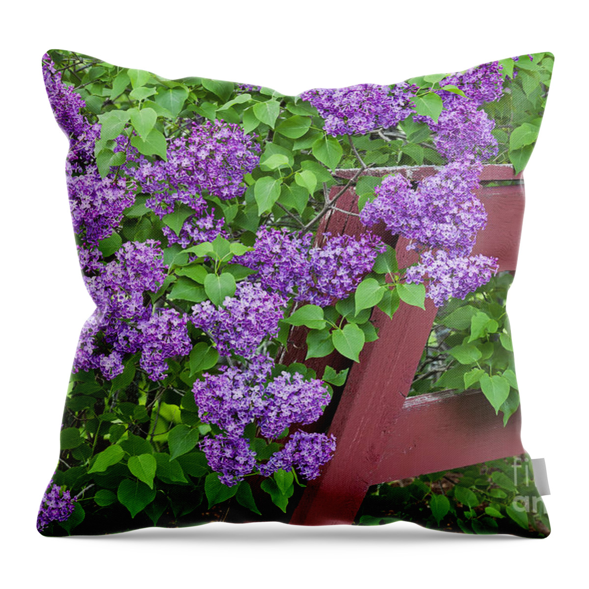 Spring Throw Pillow featuring the photograph Lilac Profusion by Alan L Graham