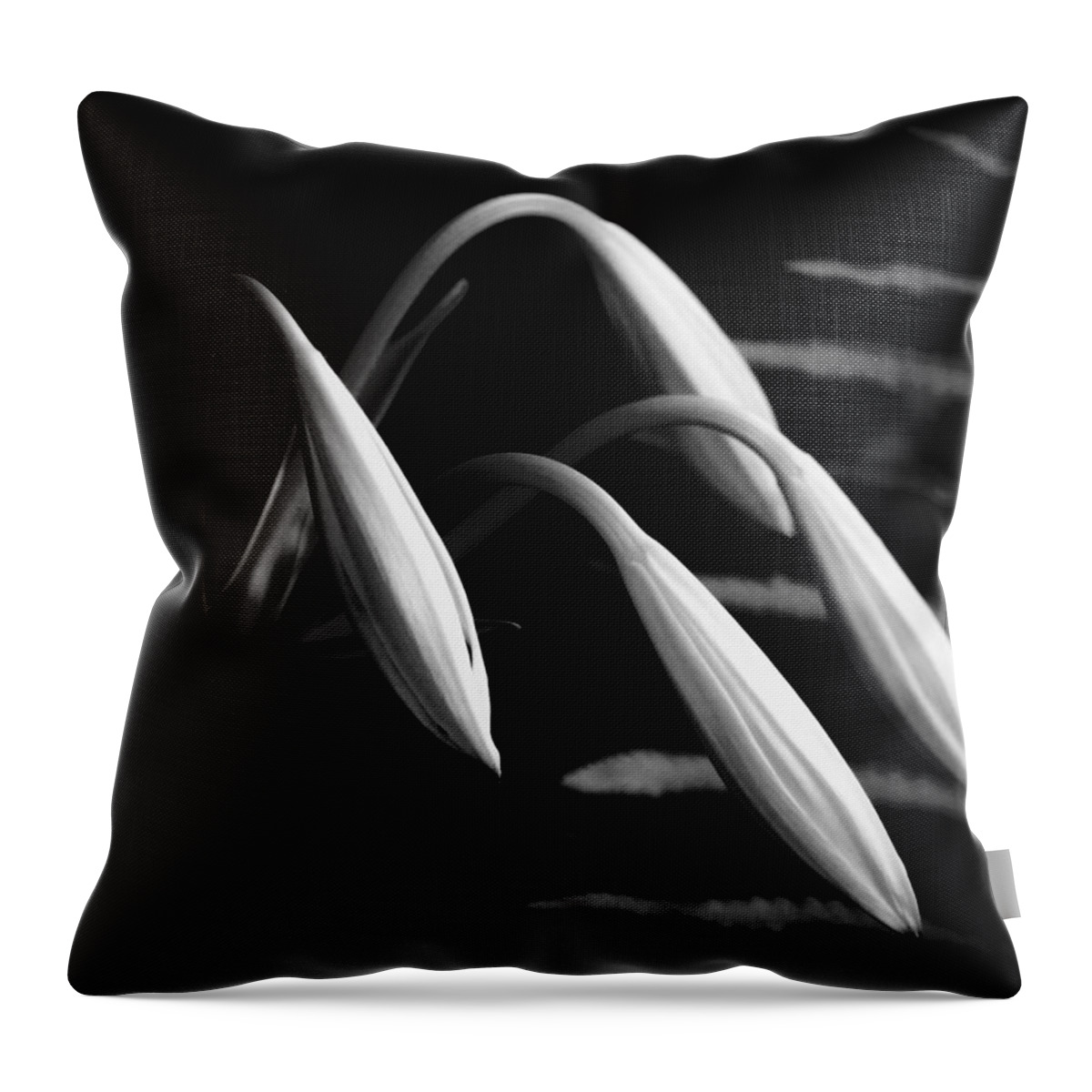 Lilies Throw Pillow featuring the photograph Lilies Of The Marsh b/w by Marvin Spates