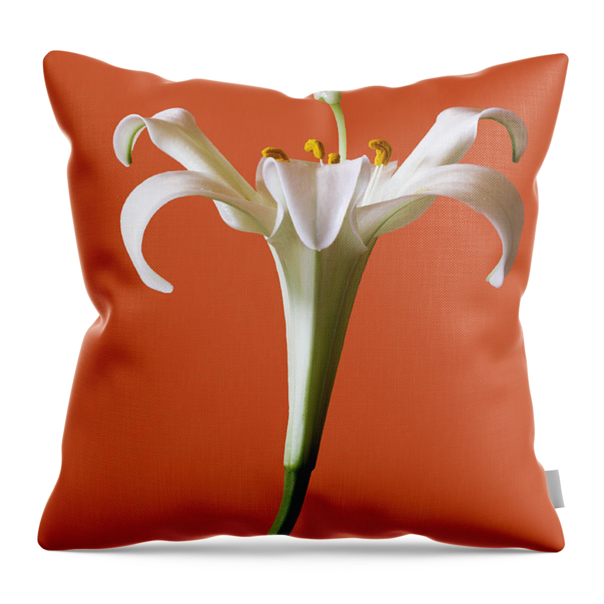 Stamens Throw Pillow featuring the photograph White Lily by Marina Kojukhova