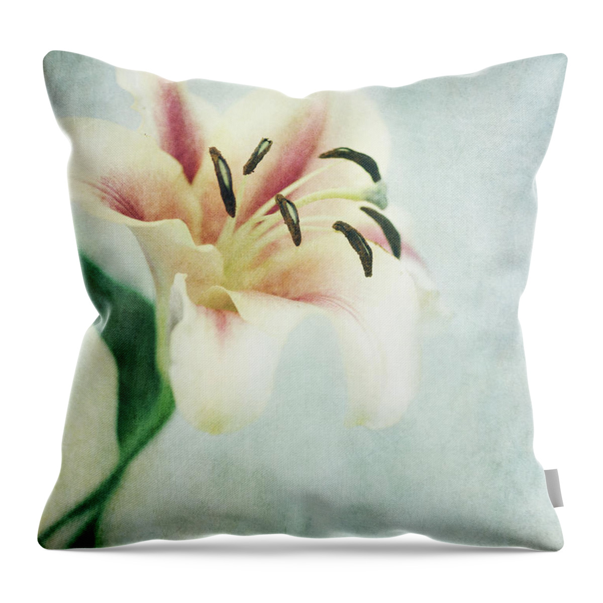 Lily Throw Pillow featuring the photograph Lilium by Priska Wettstein