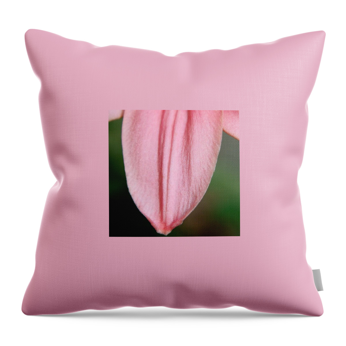 Pink Throw Pillow featuring the photograph Lilly Petal by Justin Connor