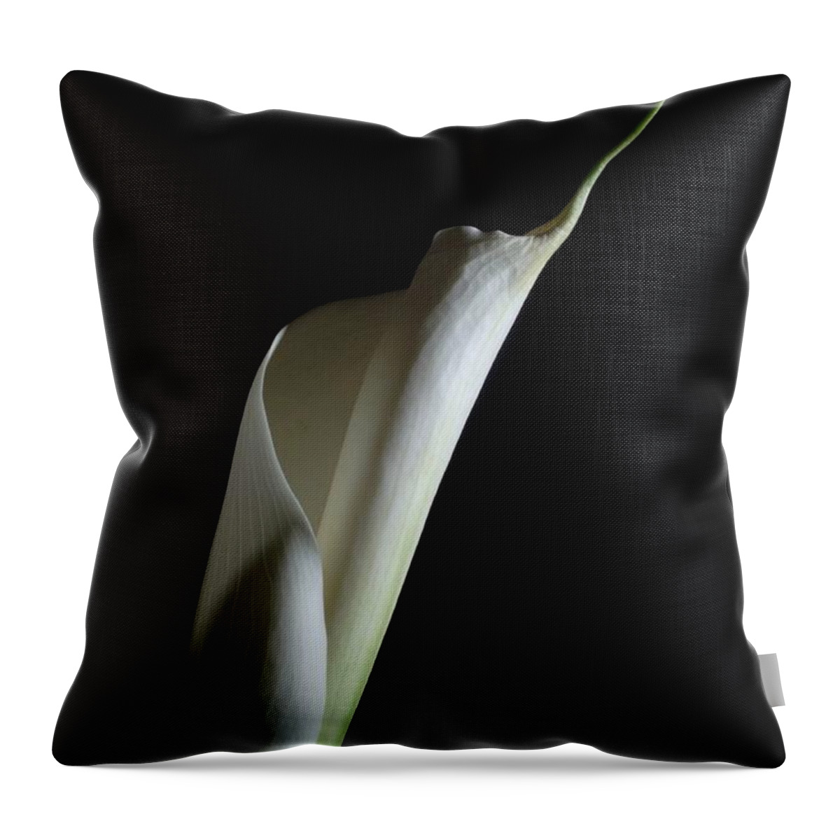 Flower Throw Pillow featuring the photograph Lily 2 by Joe Kozlowski