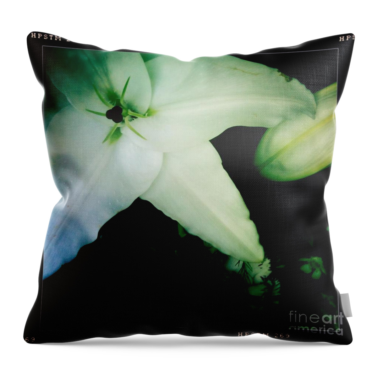 Lily Throw Pillow featuring the photograph Lily by Denise Railey
