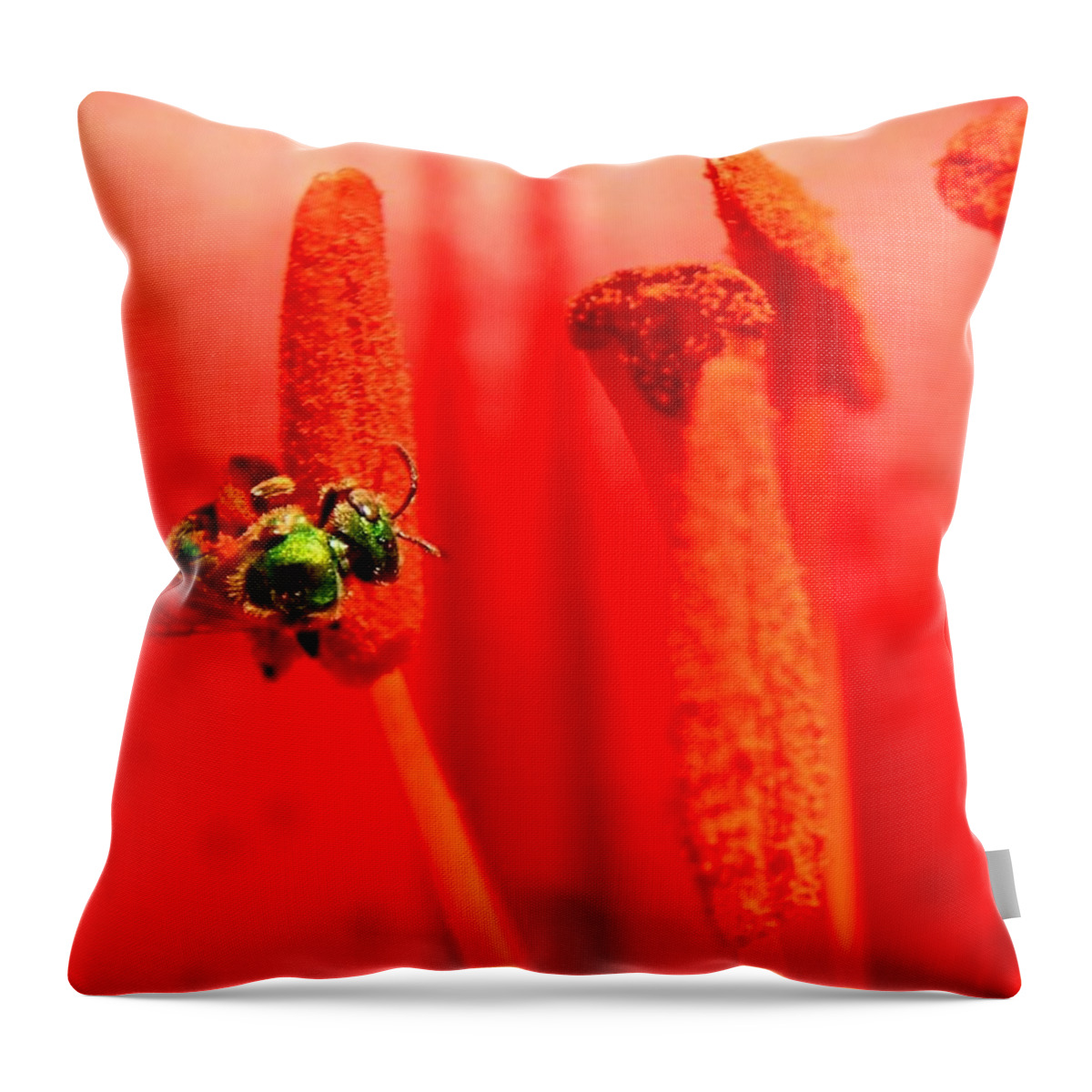Lily Jewels Throw Pillow featuring the photograph Lily Jewels by Elizabeth Sullivan