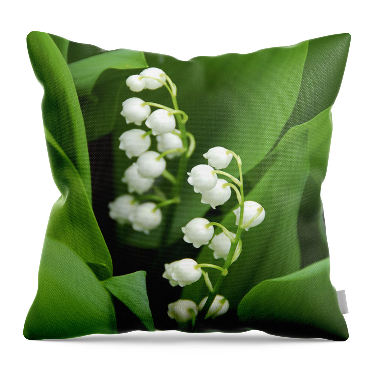 Lily Throw Pillow featuring the photograph Lily-of-the-valley by Elena Elisseeva