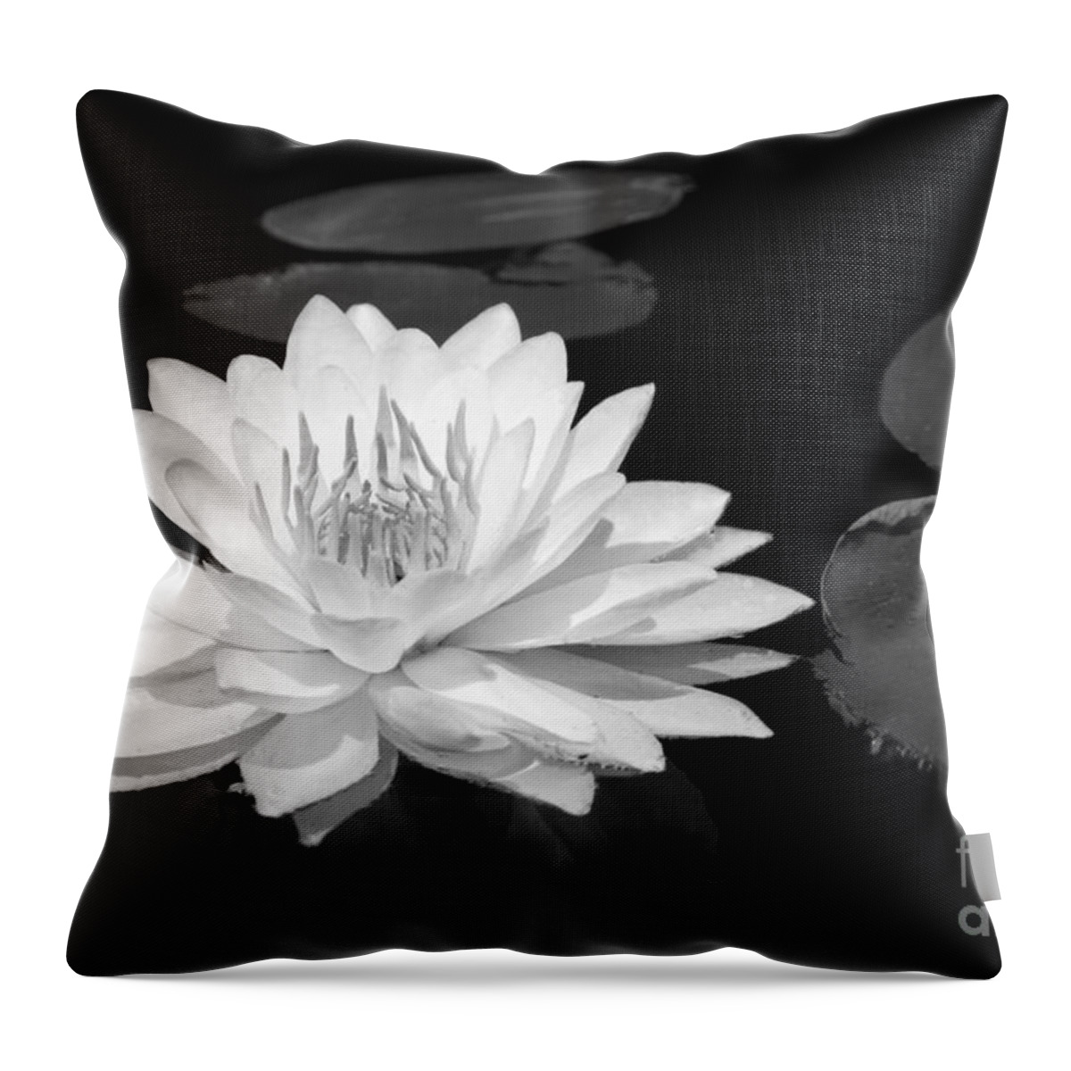 Lake Throw Pillow featuring the photograph Lily on the water by Lori Dobbs