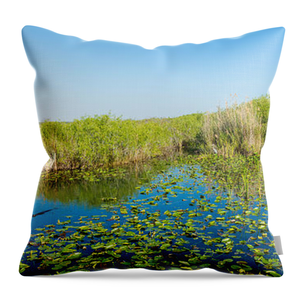 Photography Throw Pillow featuring the photograph Lily Pads In The Lake, Anhinga Trail by Panoramic Images