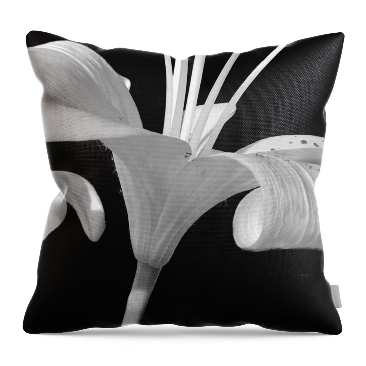 Lily Throw Pillow featuring the photograph Lily Parts Black and White 2 by Mary Bedy