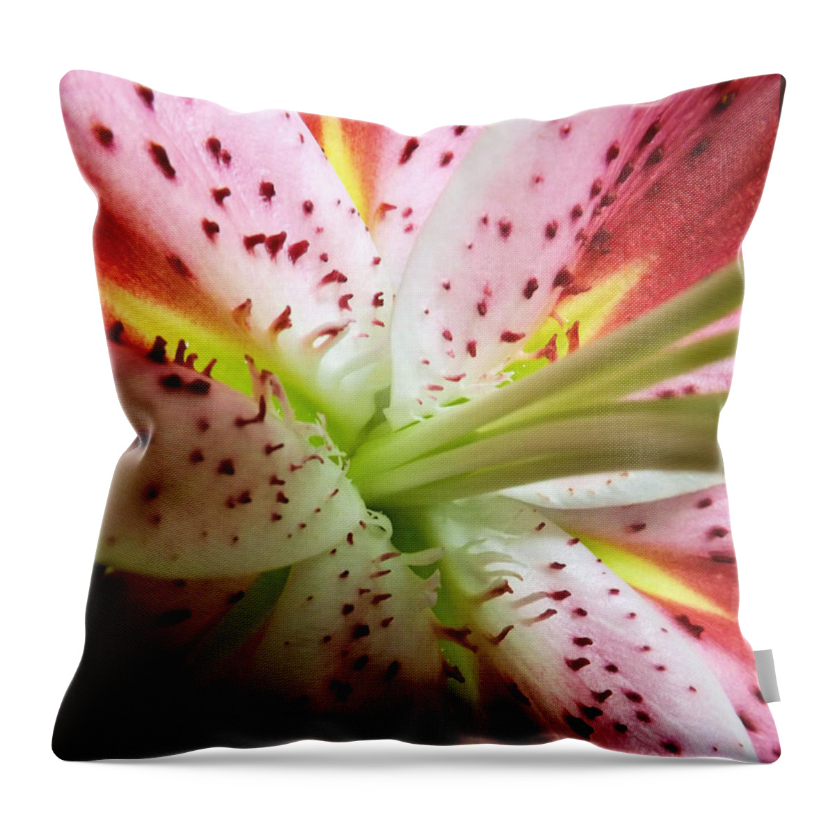 Flower Throw Pillow featuring the photograph Lily by Robyn King